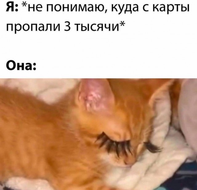 18575164.jpg