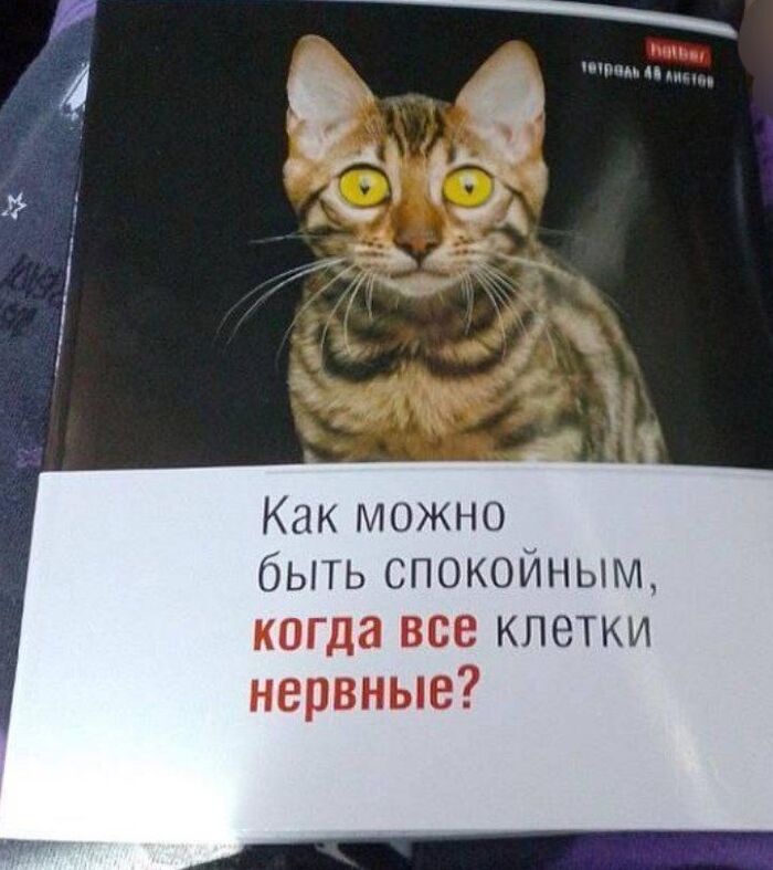 1729521962173495599.jpg