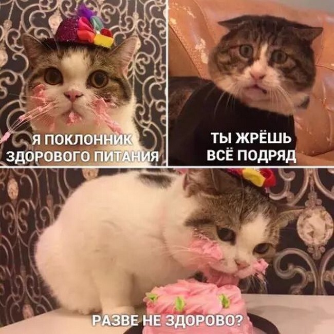 3gbj3kdq.jpg