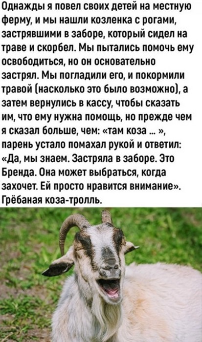 XgQ7rUha_o.jpg