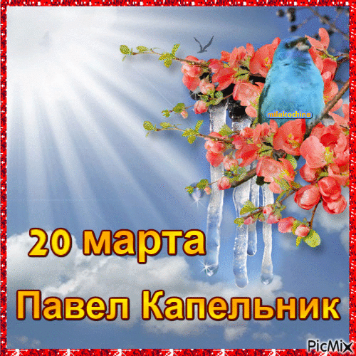 20.gif