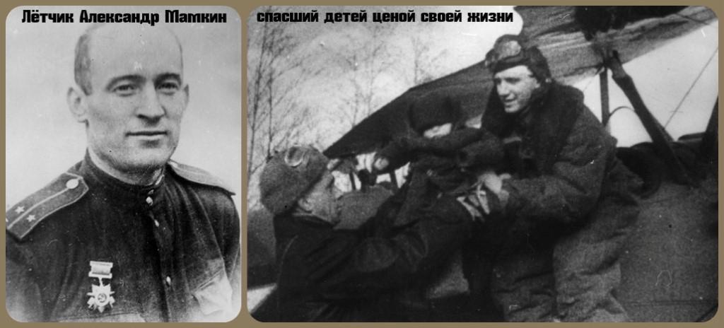 3771937.jpg