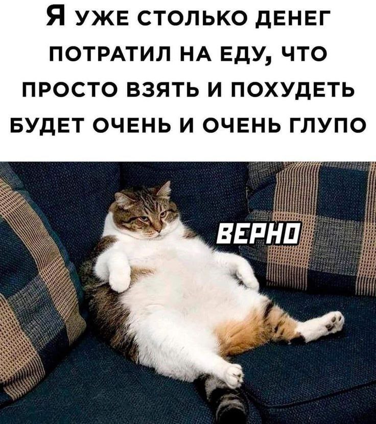 pijbgjv2.jpg