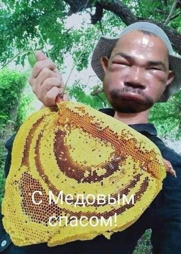 dm-9VBOH1.jpeg