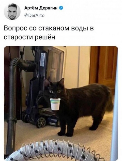 235465e10a5a9b0b963ee391d016187e.jpg