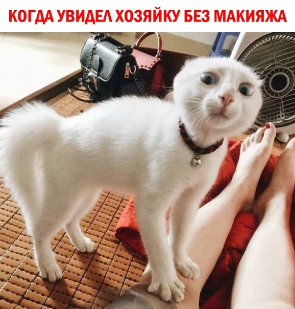 H44xt6m7_o.jpg