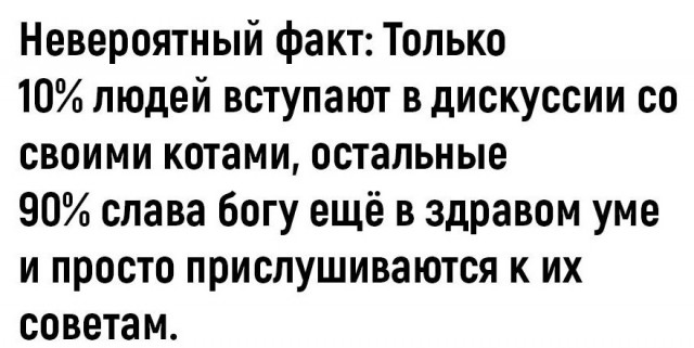 19104583.jpg