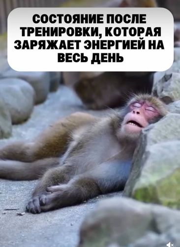 035d039e616d65108d672c862dbb2f13.jpg