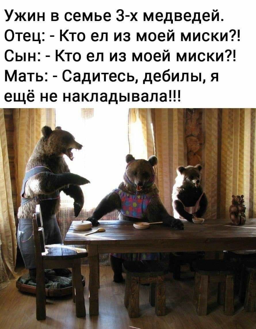 bear-16.jpg