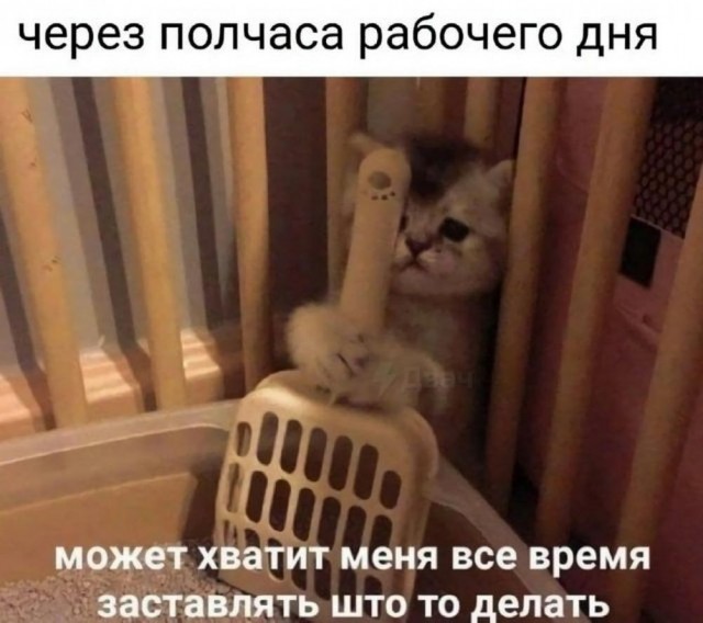 19159173.jpg