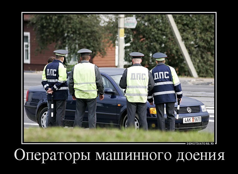 sYIprncm_o.jpg