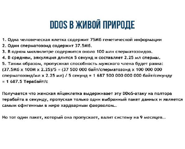 2eb7406569c8d51be86f7cb6f30f8fb7.jpg