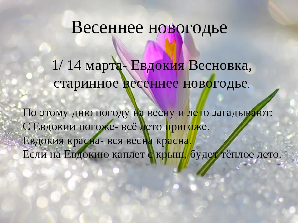 screenshot-2023-03-13-005.png