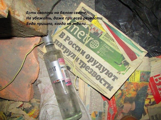 19076660.jpg