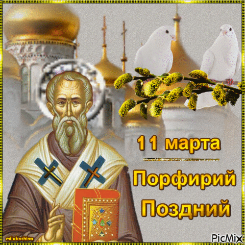 11.gif