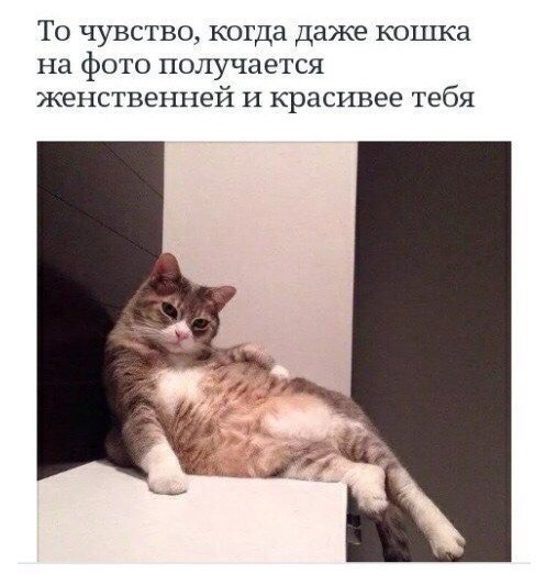 SDsFzblk_o.jpg