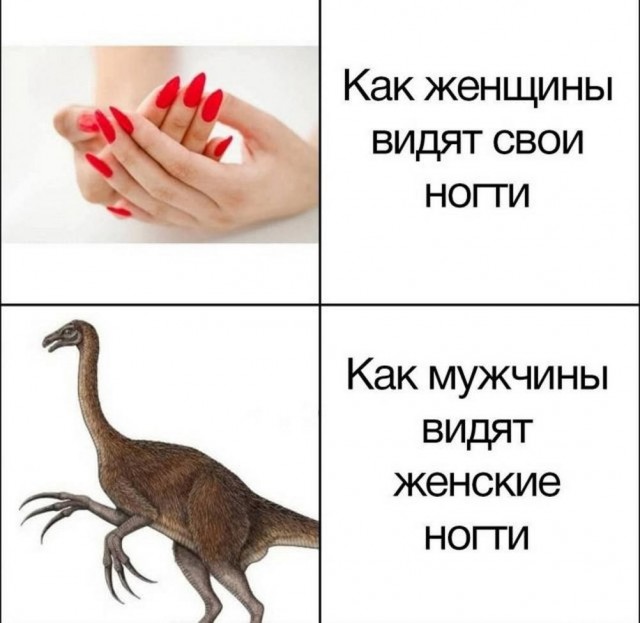19159168.jpg