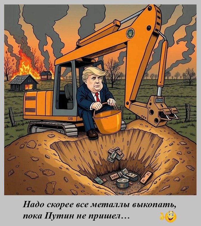 3516576_original.jpg