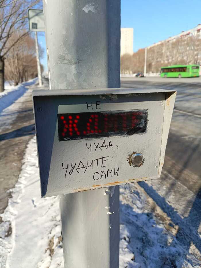 1740298862170464125.jpg