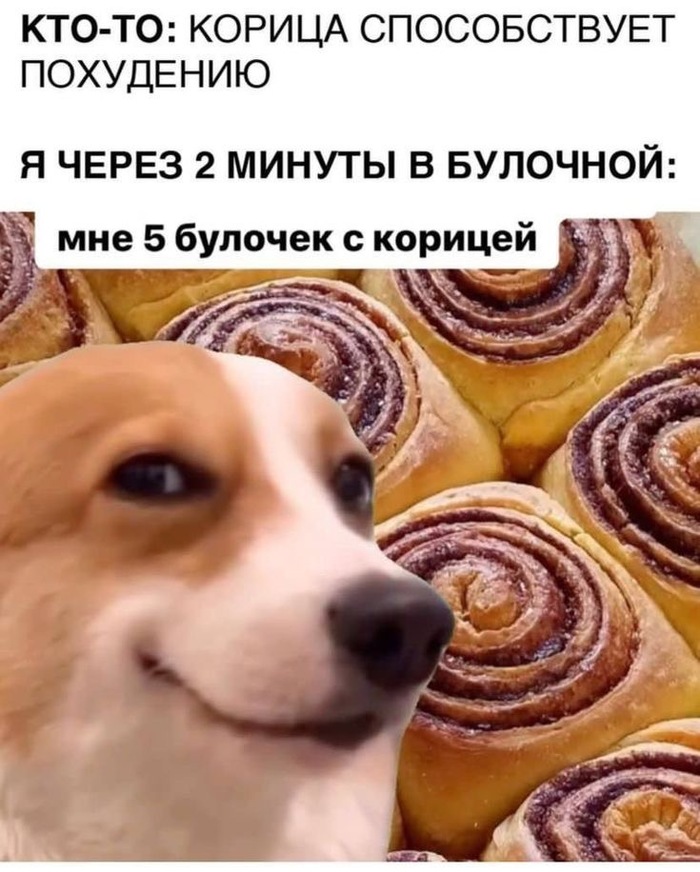 1740829244172340592.jpg