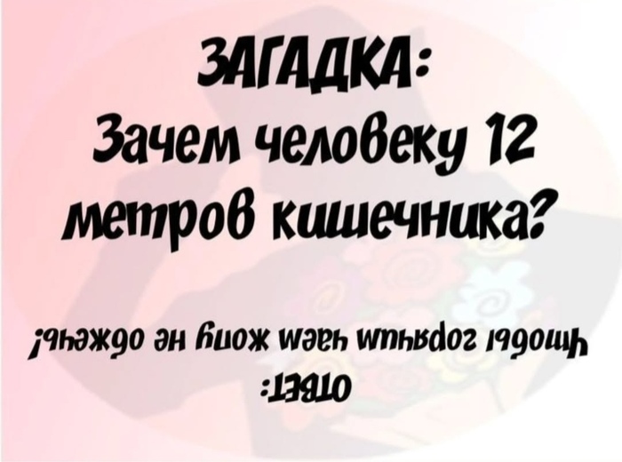 1739704233121627293.jpg