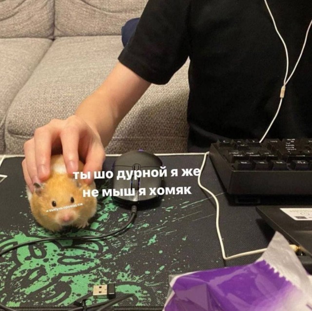 19061788.jpg