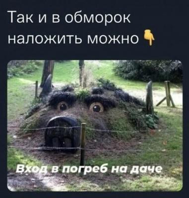 1742802718.jpg