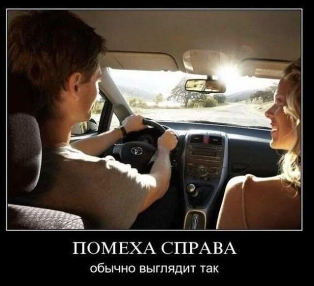 246453_1_trinixy_ru.jpg
