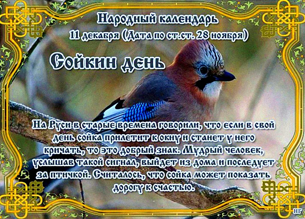 screenshot-2022-12-11-004.png