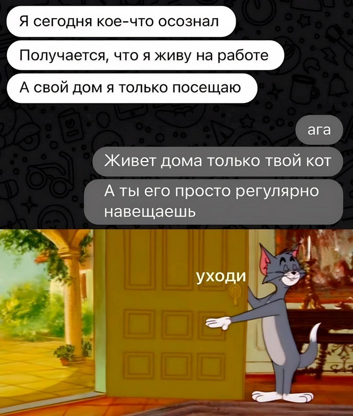 1740394169175496621.jpg