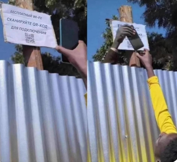 vlpfkwif.jpg