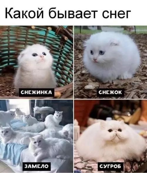 8e79753c12e7b3ed58a46273fec0b87f.jpg