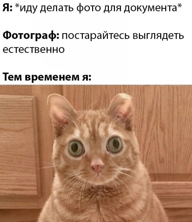 19157669.jpg