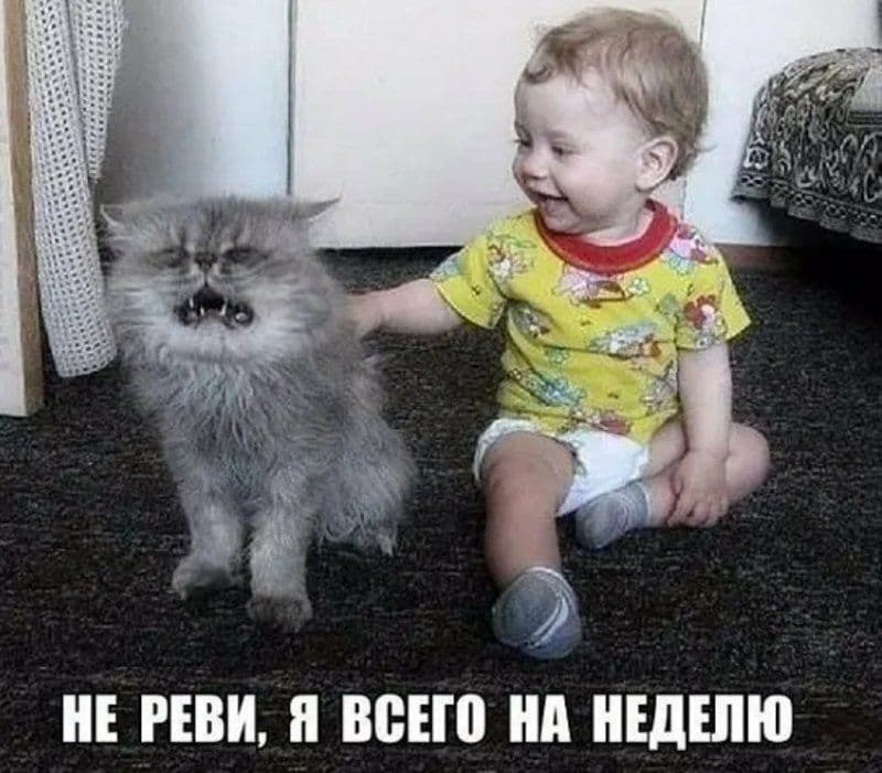 62bcb3ce685803f6747dc56aec959f18.jpg