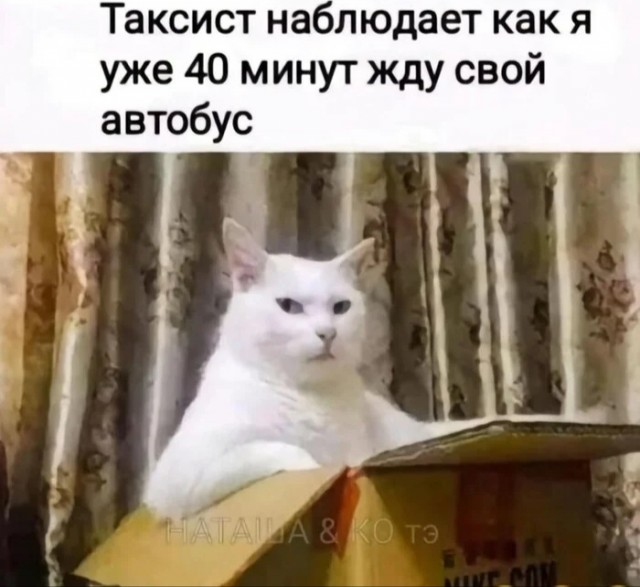 19061798.jpg