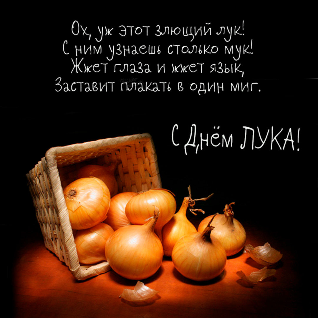 9-s-vserossijskim-dnem-louka.jpg