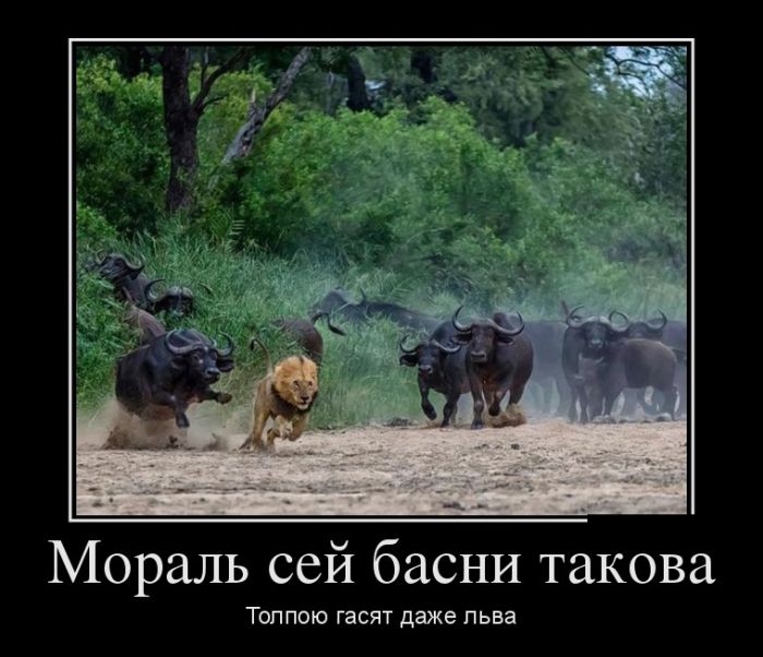1473660430_demotivk.jpg