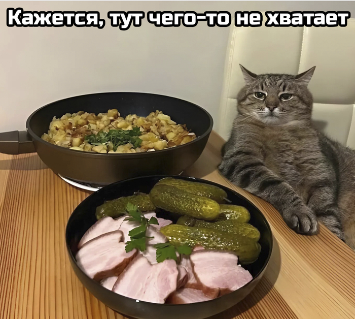 qg5xoi3k.jpg