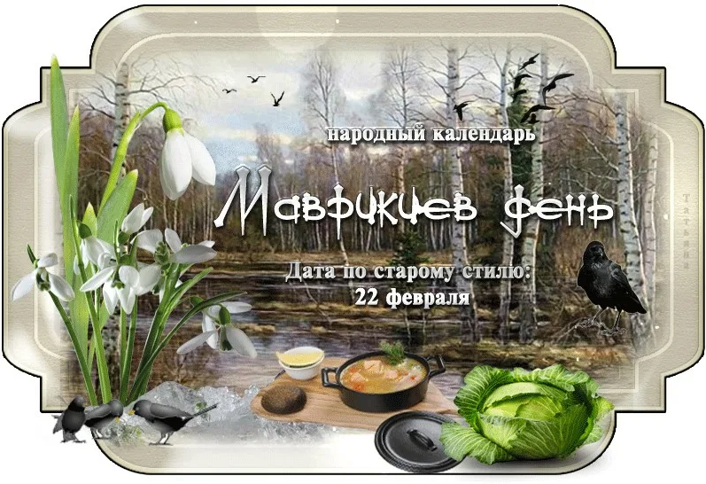 screenshot-2023-03-06-005.png