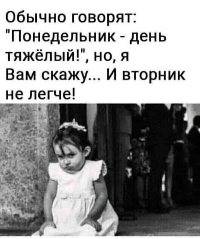 1741682227168344982.jpg