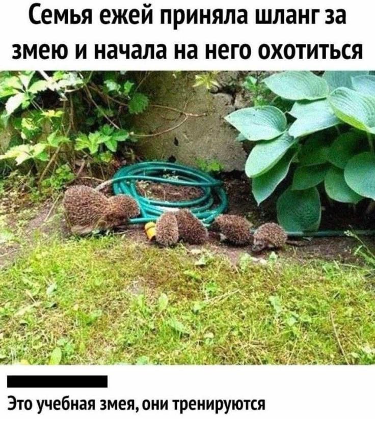 kwFx3Ywf_o.jpg