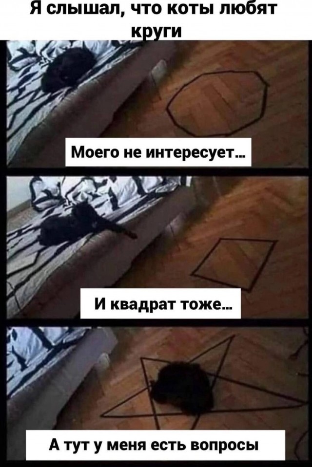 19075564.jpg
